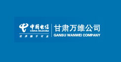 甘肅萬維信息技術有限責任公司