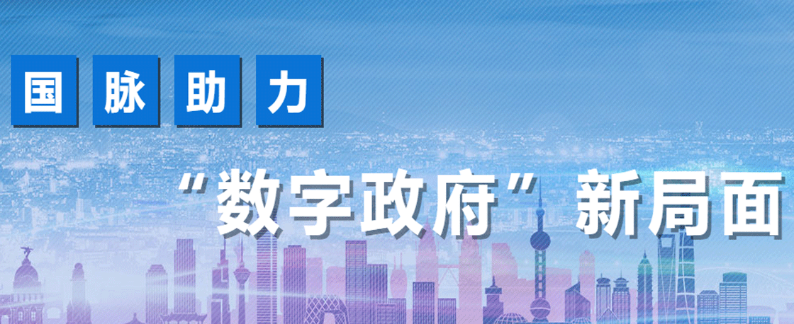 國脈助力數(shù)字政府新局面