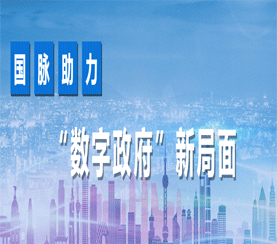 國脈助力數(shù)字政府新局面