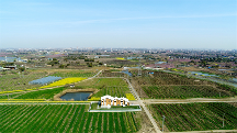 賦能產(chǎn)業(yè)振興，東方田園農(nóng)業(yè)發(fā)展有限公司全面推進(jìn)運(yùn)營業(yè)務(wù)