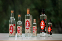 春糖頂流 高燃收官 | 能賦·米燒征程不止，勇毅前行耀未來！