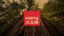 大王椰LOGO煥新背后，如何打造年輕人的品牌！